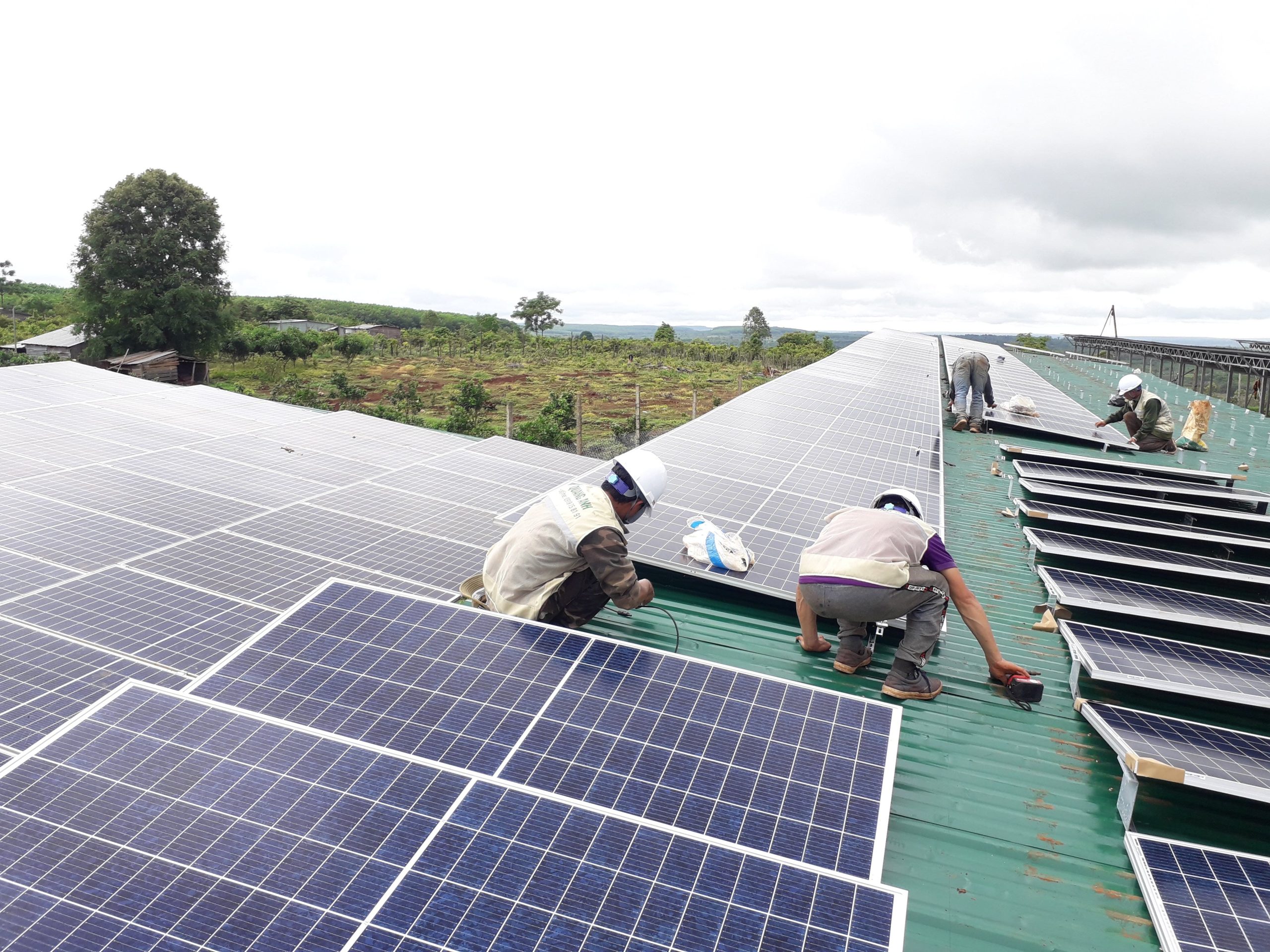 DPPA regulations Vietnam