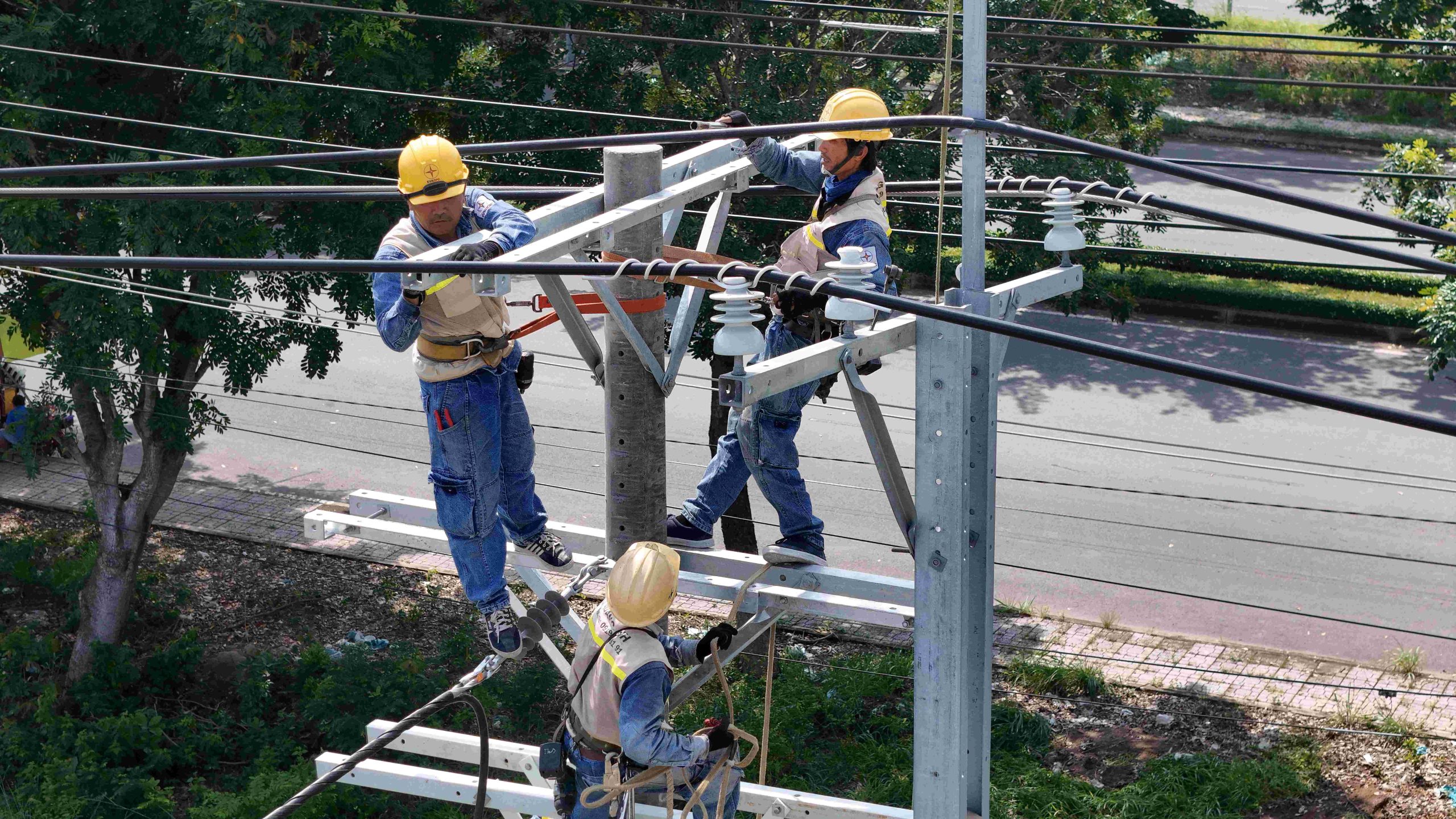 DPPA regulations Vietnam
